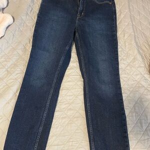 GAP Blue Straight Leg Jeans Classic Denim